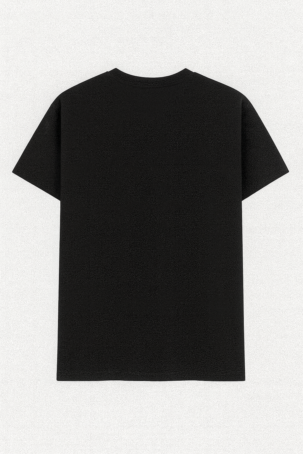 Regular Short Sleeve T-Shirt